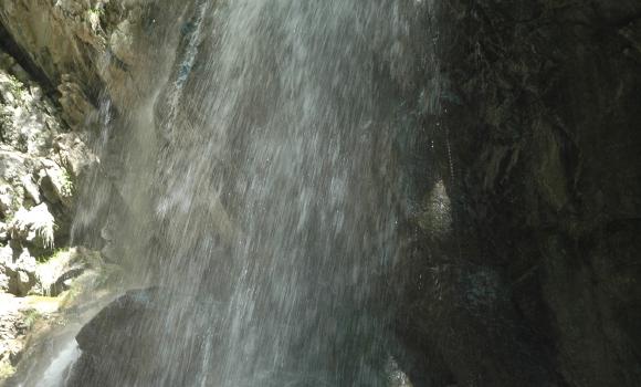 Fallenbachschlucht: Regenwaldartiger Canyon bei Amden